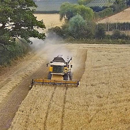 The Mill At Rose Villa Farm Hereford Exteriör bild