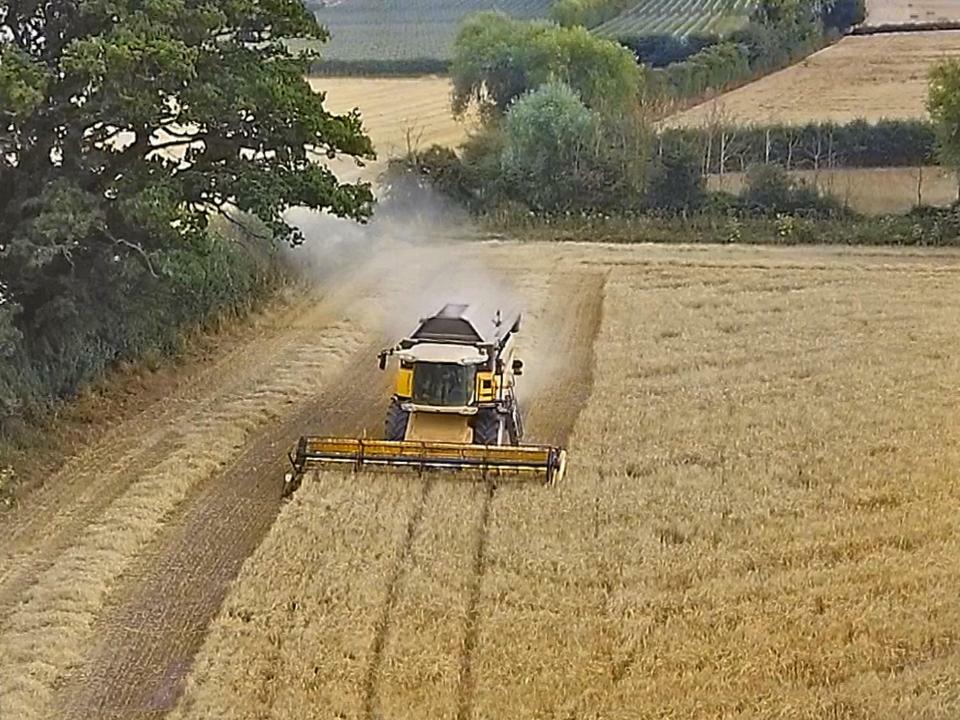 The Mill At Rose Villa Farm Hereford Exteriör bild